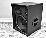 AccuGroove Tri 112+ FRFR Bass Cabinet