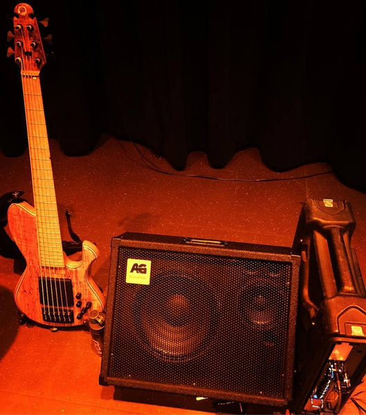 SWR BASS MONITOR 12 キャビネット SWR Bass Monitor 12 Angeled Bass Cabinet with Tweeter