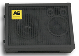AccuGroove MiniWedge FRFR Bass Monitor