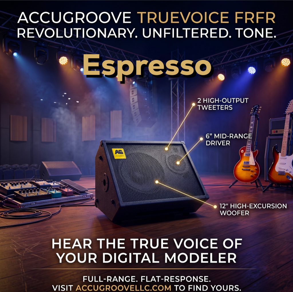 AccuGroove Espresso+ FRFR Guitar Monitor – AccuGrooveLLC