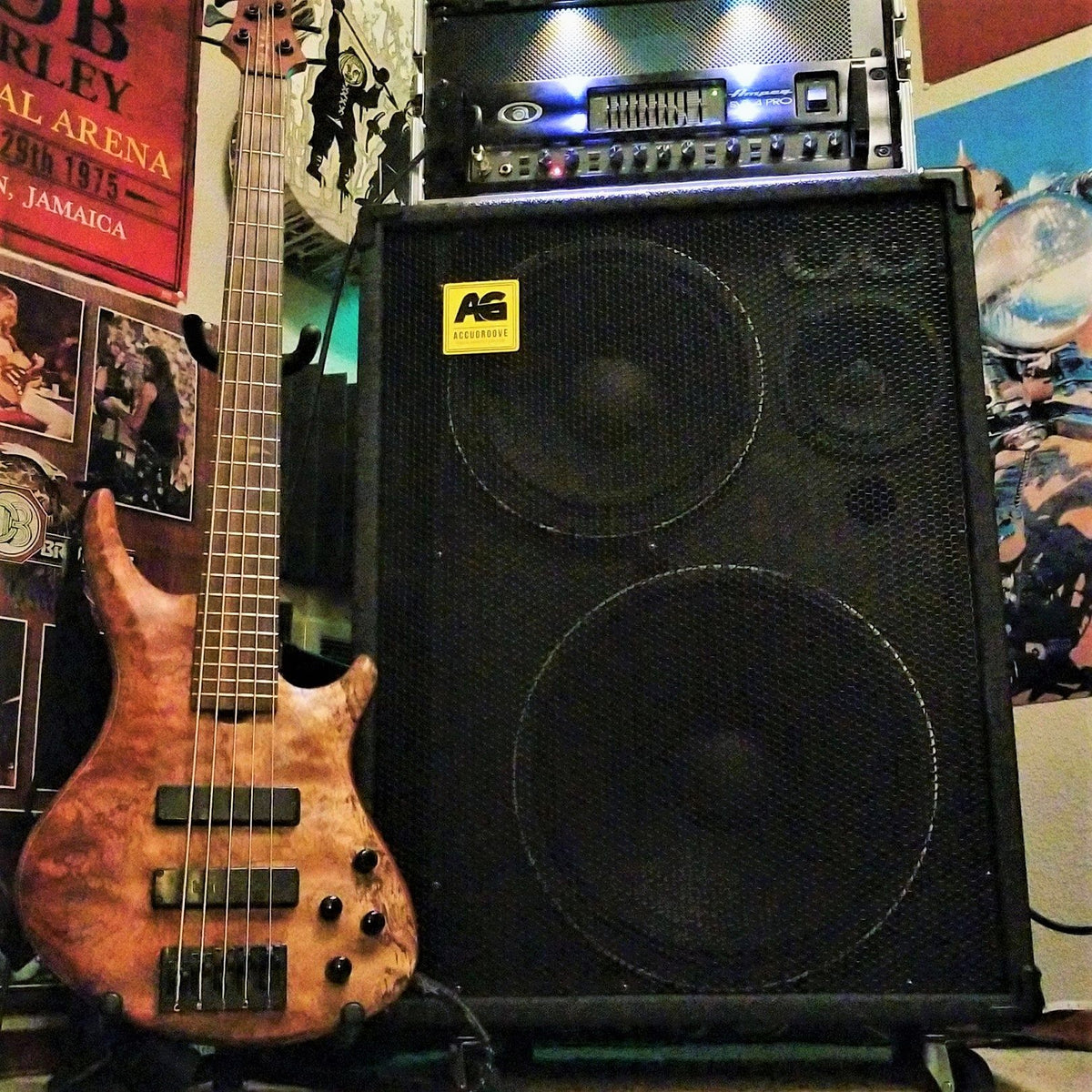 AccuGroove El Whappo Bass Cabinet – AccuGrooveLLC