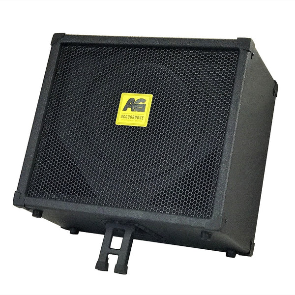 AccuGroove Java FRFR Guitar Cabinet – AccuGrooveLLC