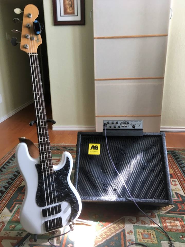 AccuGroove Wedgie+ FRFR Bass Monitor