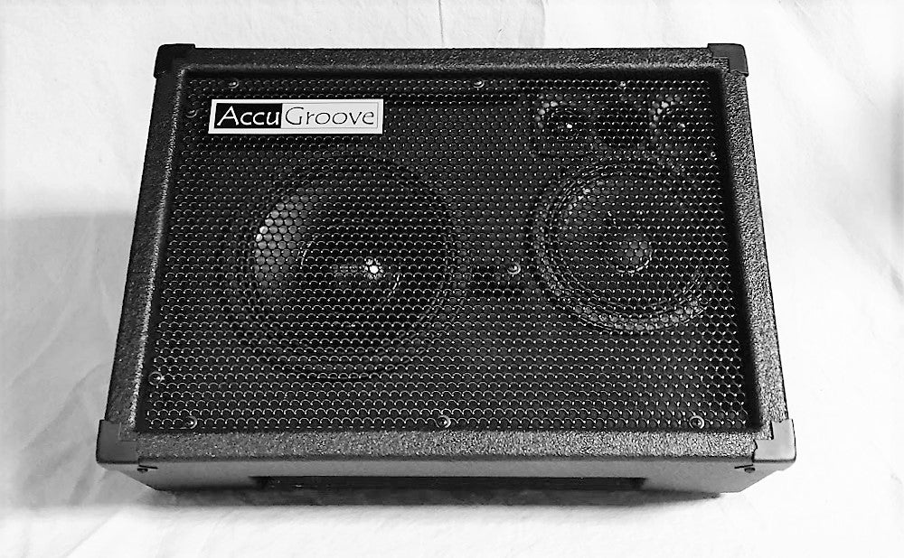 AccuGroove MiniWedge FRFR Bass Monitor