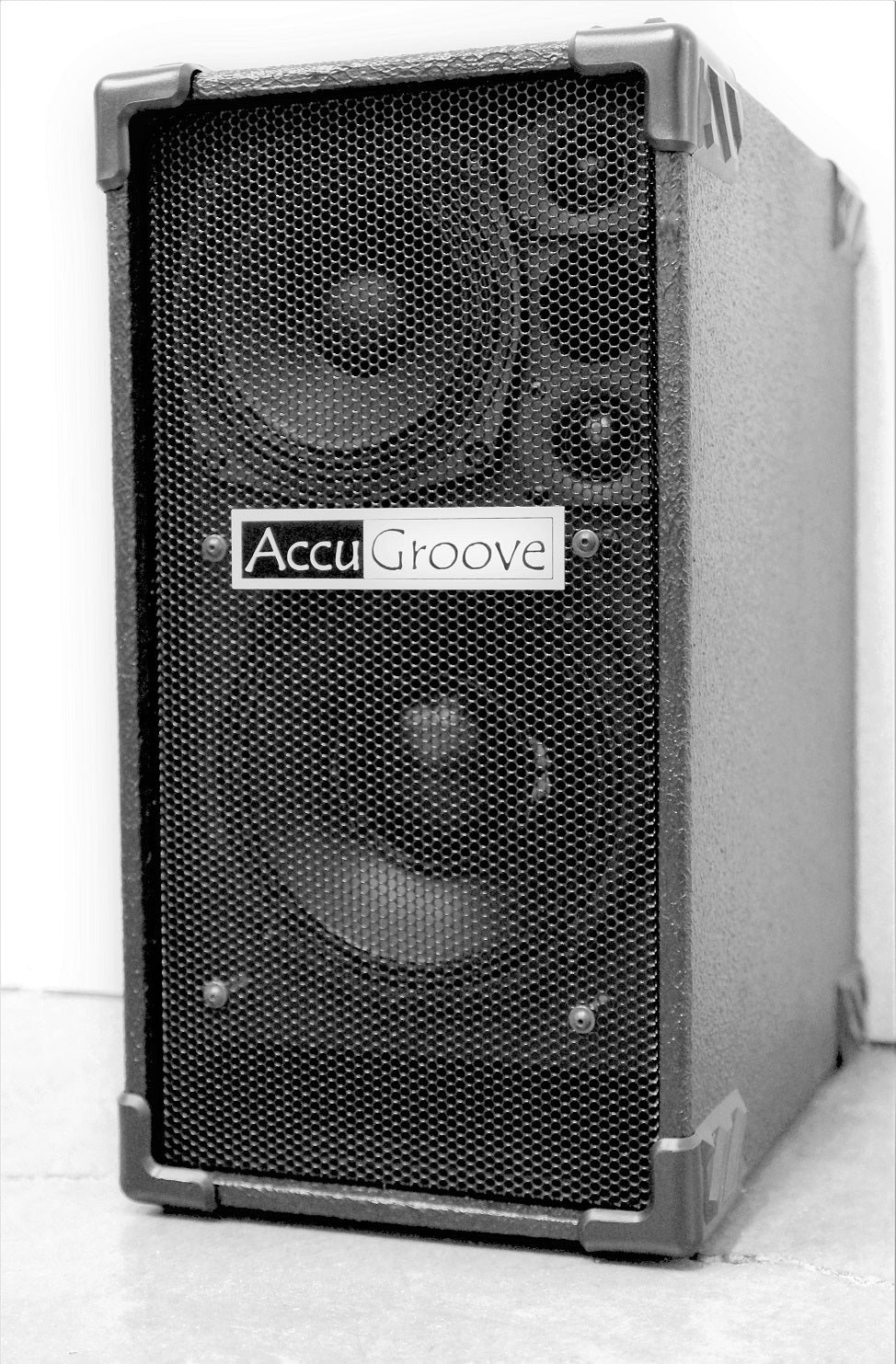 AccuGroove Demitasse FRFR Guitar Cabinet
