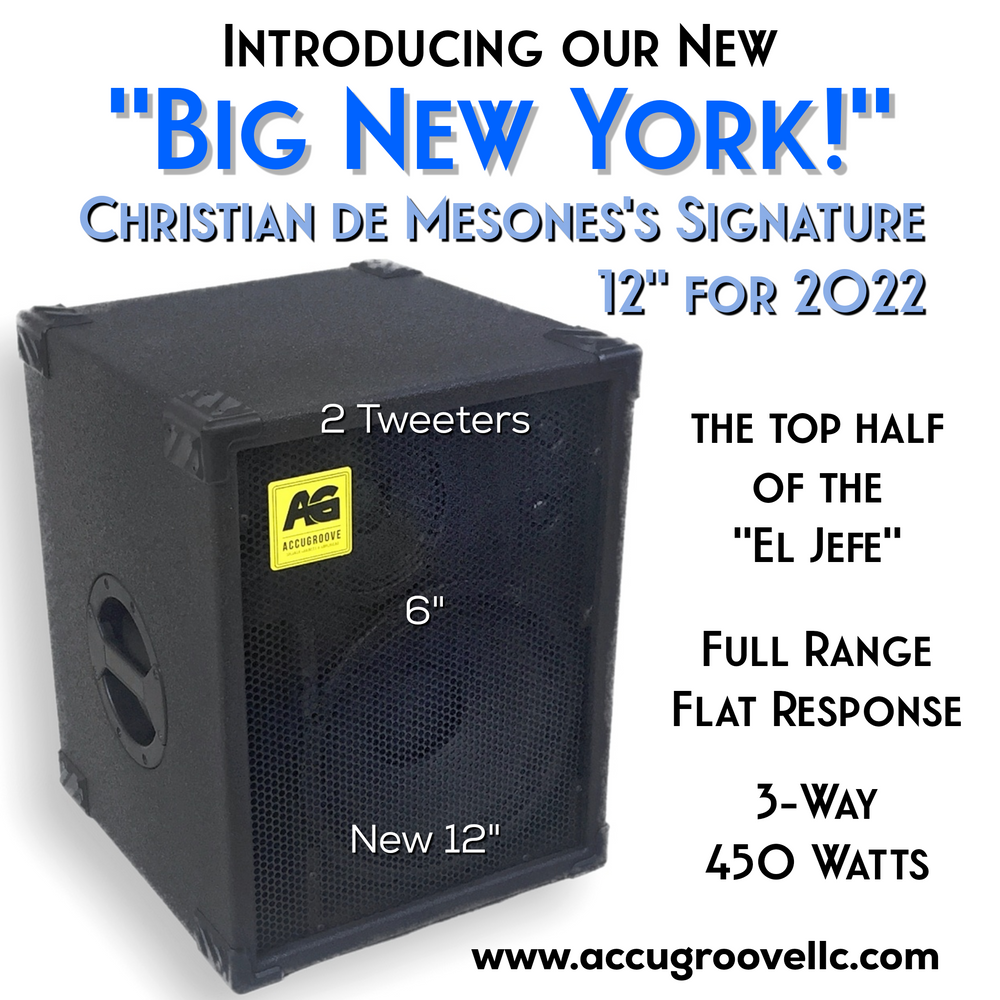 Big New York Signature 12" Bass Cabinet